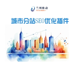 城市分站SEO优化插件